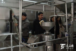 新疆焉耆县首家豆腐企业取得食品生产许可证